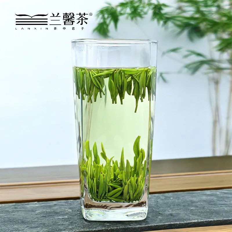 二月待春來丨在杯盞方寸間，品出一整個春天的美好