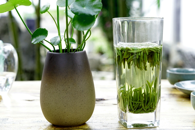 風(fēng)帶暑來，“馨”茶一盞迎夏天